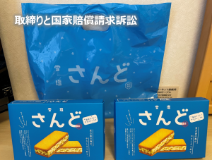 国家賠償請求訴訟