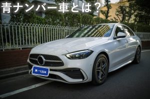 青ナンバー車とは